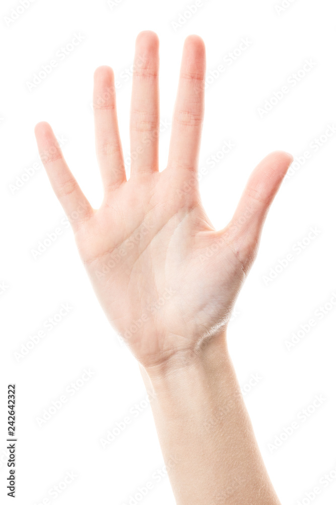 Female hand isolated on white background. White woman's hand showing symbols and gestures. Palm Female hand isolated on white background. White woman's hand showing symbols and gestures. Palm
