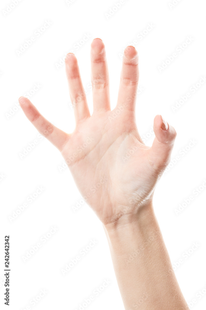Female hand isolated on white background. White woman's hand showing symbols and gestures. Palm Female hand isolated on white background. White woman's hand showing symbols and gestures. Palm