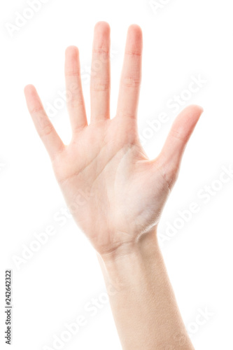 Female hand isolated on white background. White woman's hand showing symbols and gestures. Palm © stas_malyarevsky