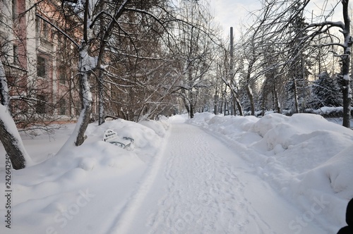 Winter snow frost © Sergei