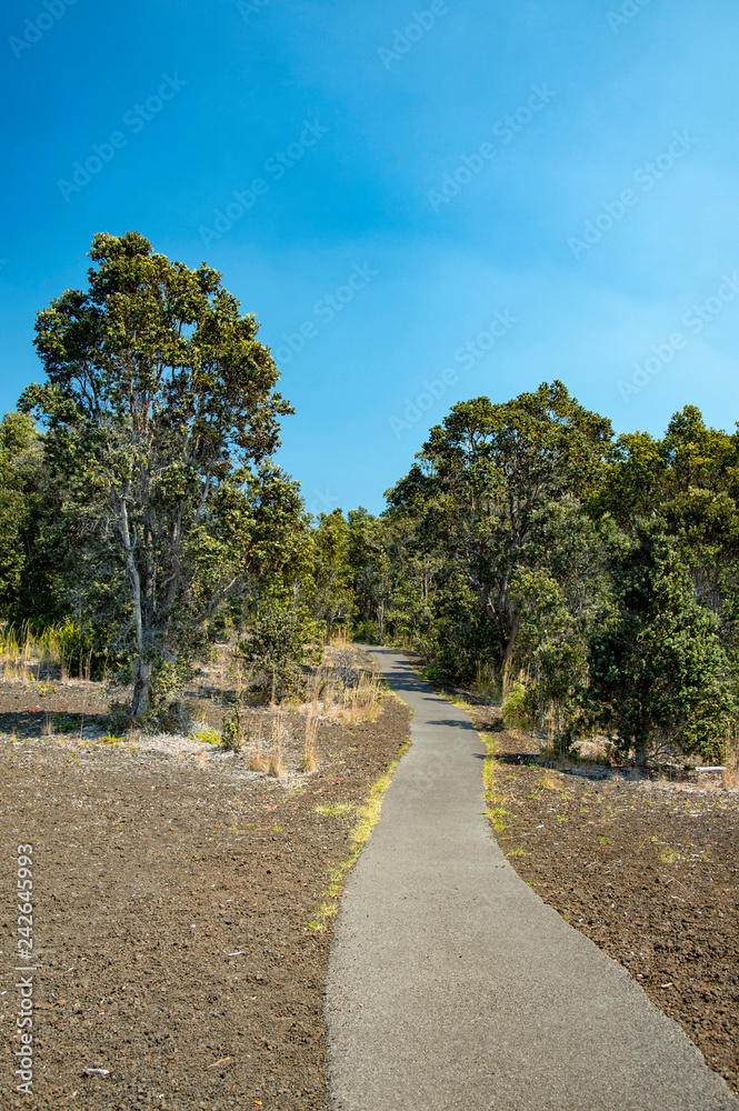 CRATER RIM TRAIL Volcano,Island of Hawaii CRATER RIM TRAIL Volcano,Island of Hawaii