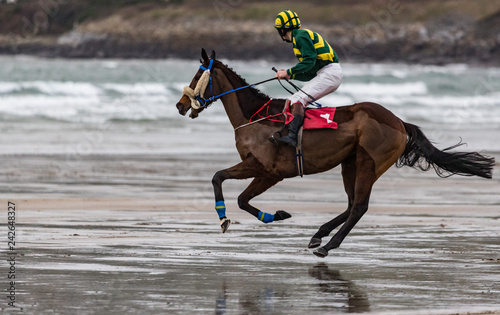 Race horse and jockey galloping on wet sand beach