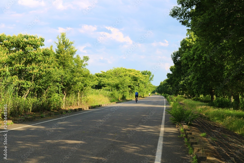 風景　新緑　渡良瀬遊歩道　茨城