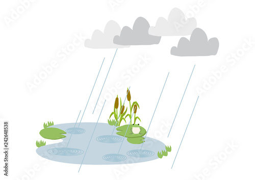  池に降る雨。 梅雨のイラスト。 水際の生物。 雨が降っている風景。 自然の景観。 梅雨の風景のイメージ。