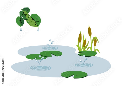  池に降る雨。 梅雨のイラスト。 水際の生物。 雨が降っている風景。 自然の景観。 梅雨の風景のイメージ。