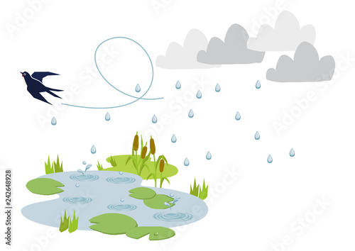  池に降る雨。 梅雨のイラスト。 水際の生物。 雨が降っている風景。 自然の景観。 梅雨の風景のイメージ。