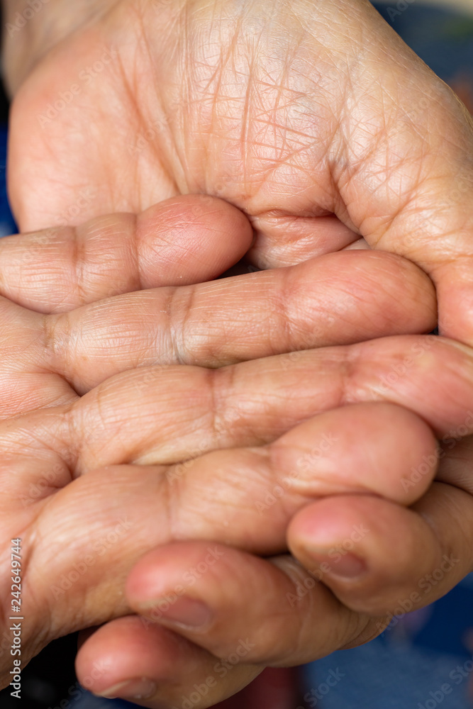 Senior woman's wrinkled palm and fingerprint of hand, Close up & Macro shot, Selective focus, Asian body skin part, Healthcare concept Senior woman's wrinkled palm and fingerprint of hand, Close up & Macro shot, Selective focus, Asian body skin part, Healthcare concept