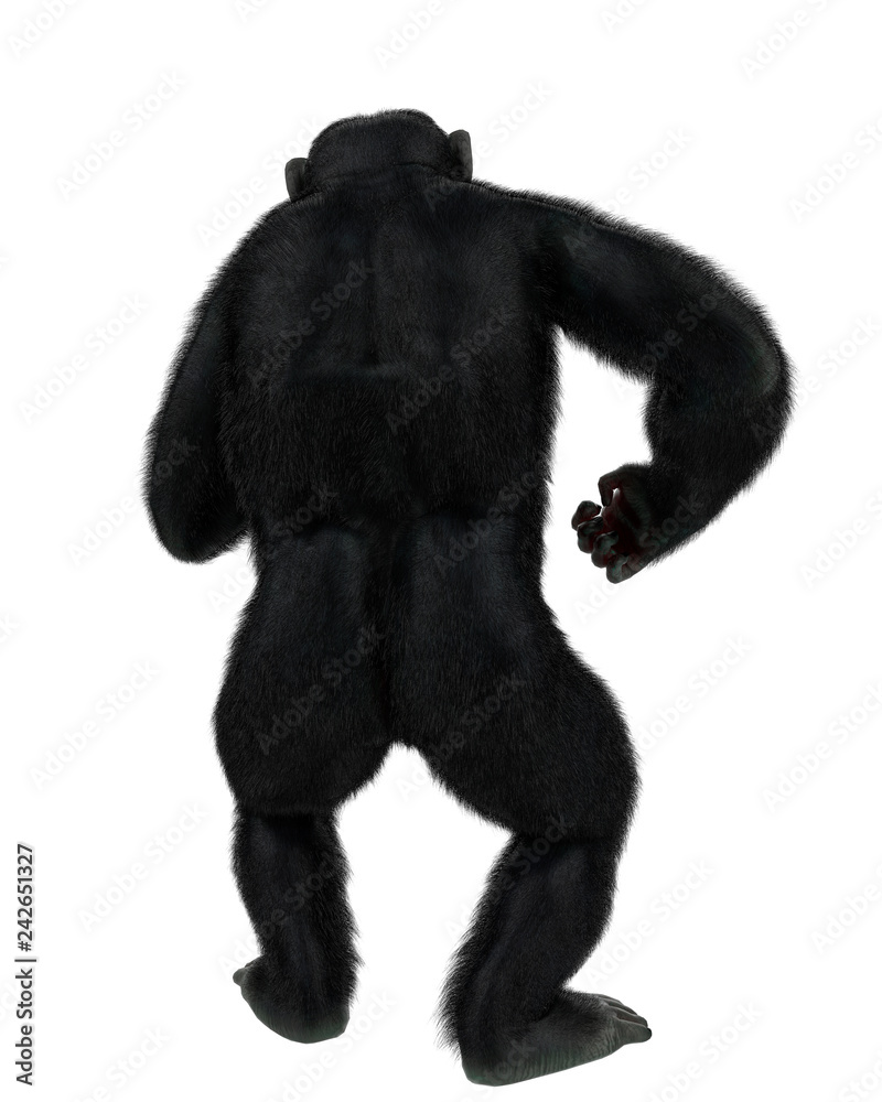 Naklejka premium chimpanzee in a white background