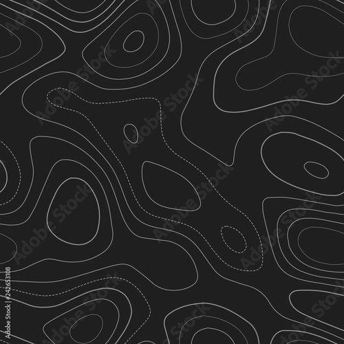 Contour lines. Admirable topography map. Dark seamless design, exquisite tileable isolines pattern. Vector illustration.