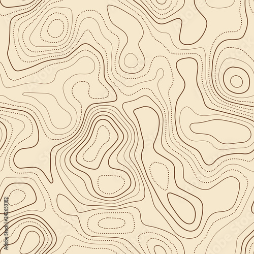 Topographic map. Actual topographic map. Seamless design, fancy tileable isolines pattern. Vector illustration.