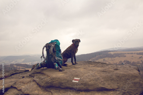 Hund und Rucksack auf Gipfel, Sächsische Schweiz, wandern, 