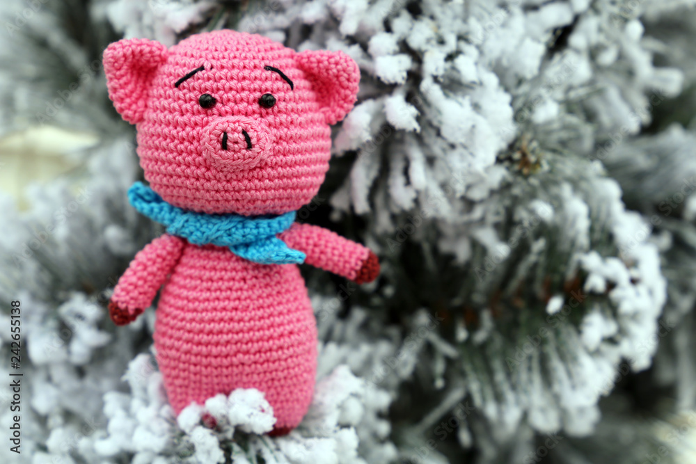 Chinese New Year of Pig, Zodiac symbol 2019. Knitted toy pig on background of snow covered fir branches, Christmas card Chinese New Year of Pig, Zodiac symbol 2019. Knitted toy pig on background of snow covered fir branches, Christmas card