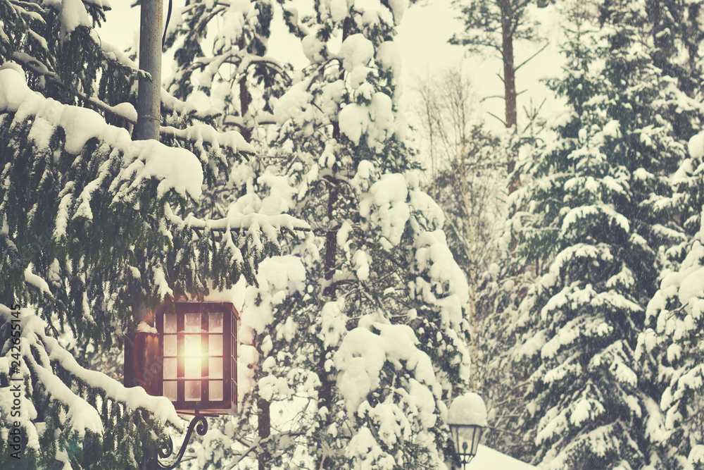 lantern in the winter forest. beautiful winter background, winter season concept, holiday, new year. soft selective focus
