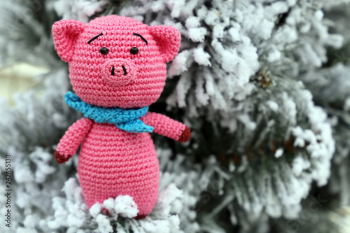 Chinese New Year of Pig, Zodiac symbol 2019. Knitted toy pig on background of snow covered fir branches, Christmas card