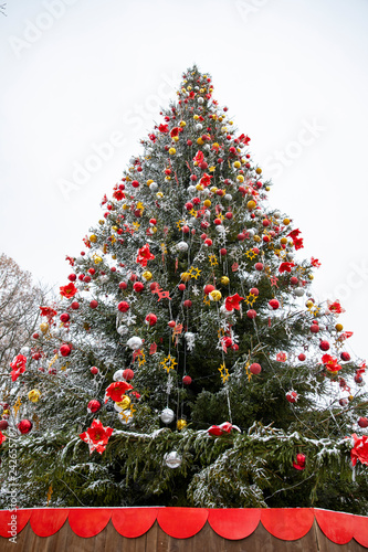 Christmas tree. Christmas tree in the city of Vinnitsa.