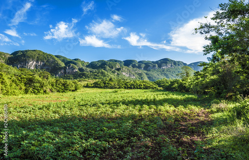 landscape of Vinales valley Cuba