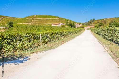  route des vins, Tain l'Hermitage 
