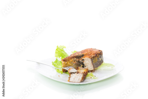 piece of fried pike fish in a plate isolated on white