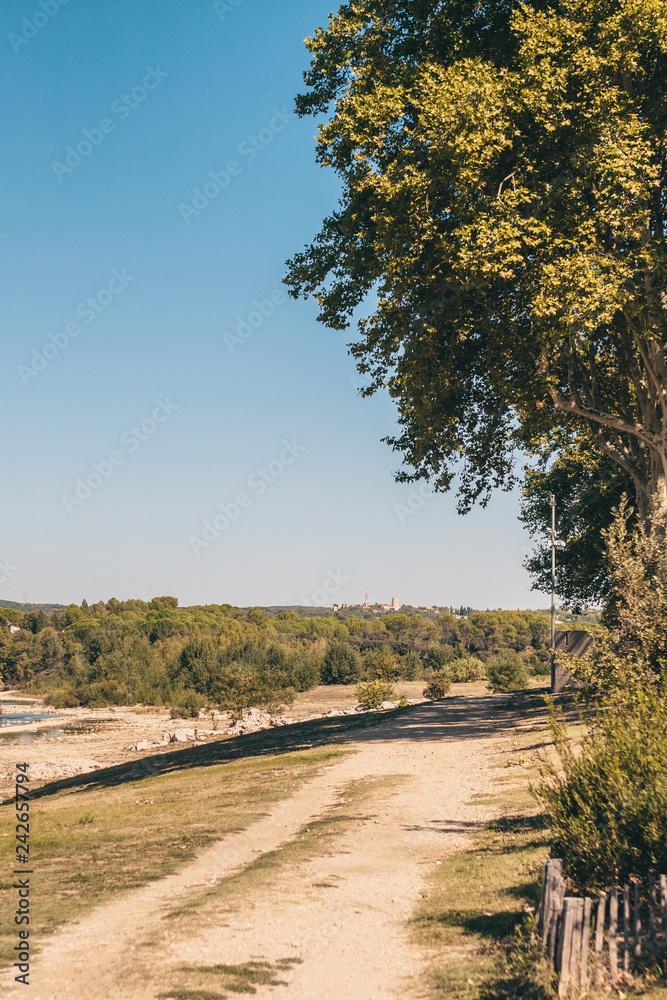 Vertical landscape - tree and dirt road into the distance - Provence Vertical landscape - tree and dirt road into the distance - Provence