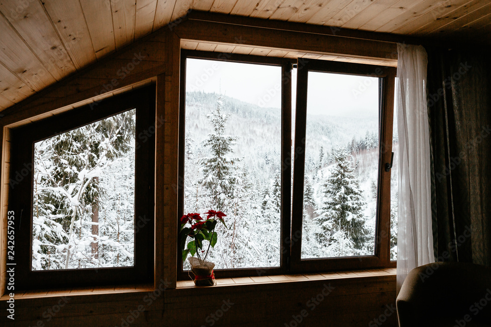 window with flowers with beautiful view window with flowers with beautiful view