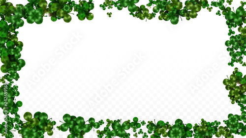 Vector Clover Leaf  Isolated on Transparent Background with Space for Text. St. Patrick's Day Illustration. Ireland's Lucky Shamrock Poster. Invintation for Concert in Pub. Top View. Success Symbols. © Feliche _Vero