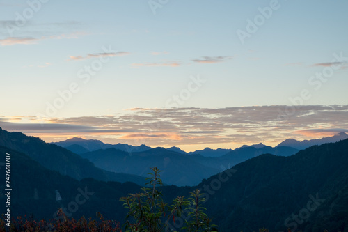 Nature background in Alishan National Park, Taiwan on a wet and foggy morning photo