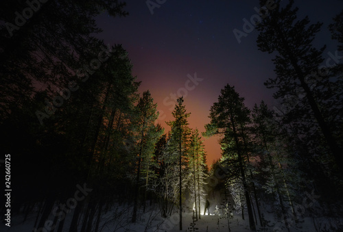 winter night forest and starry sky light man star