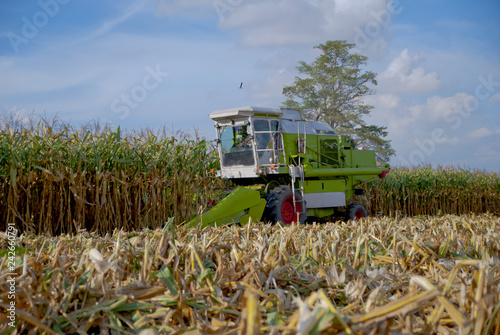 Corn Harvester, Corn Harvester from Thailand country