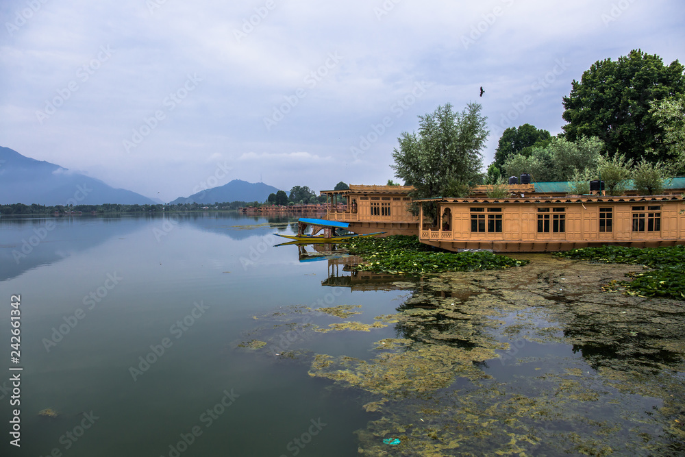 House boats on the dal lake in Srinagar, Kashmir, India.
