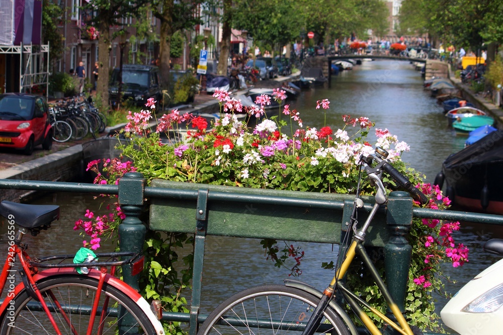 Amsterdam summer