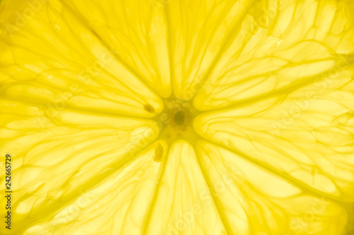 Fresh lemon slice detail backlit close-up view