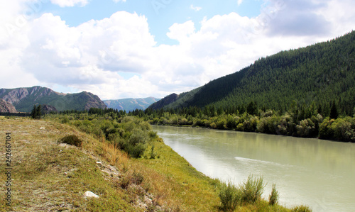 Altai Krai, natural river on the background of mountains