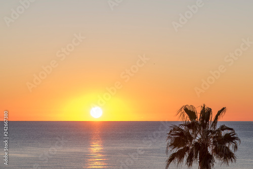 Amanacer silencioso y tranquilo en una playa calida del mediterraneo entre palmeras que acaracian al mar y se mece por la brisa  photo