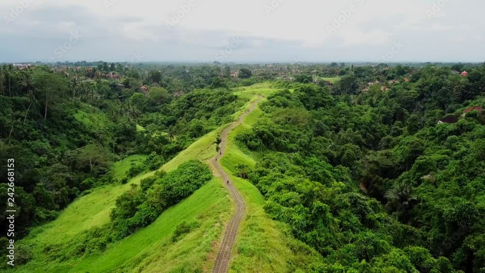 Campuhan Ridge Walk in Ubud from above. Aerial drone shot Campuhan Ridge Walk in Ubud from above. Aerial drone shot