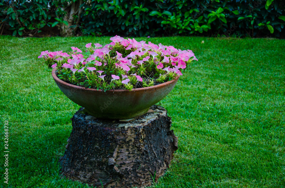 Vaso di fiori Vaso di fiori