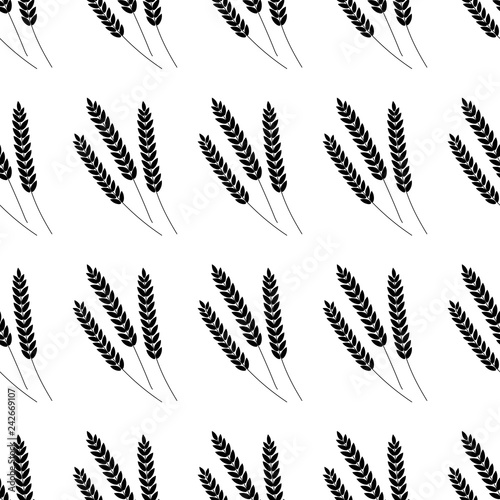 Vector seamless pattern illustration ears of wheat. Beer  oktoberfest  background. For bakery package  bread products. Autumn harvest.