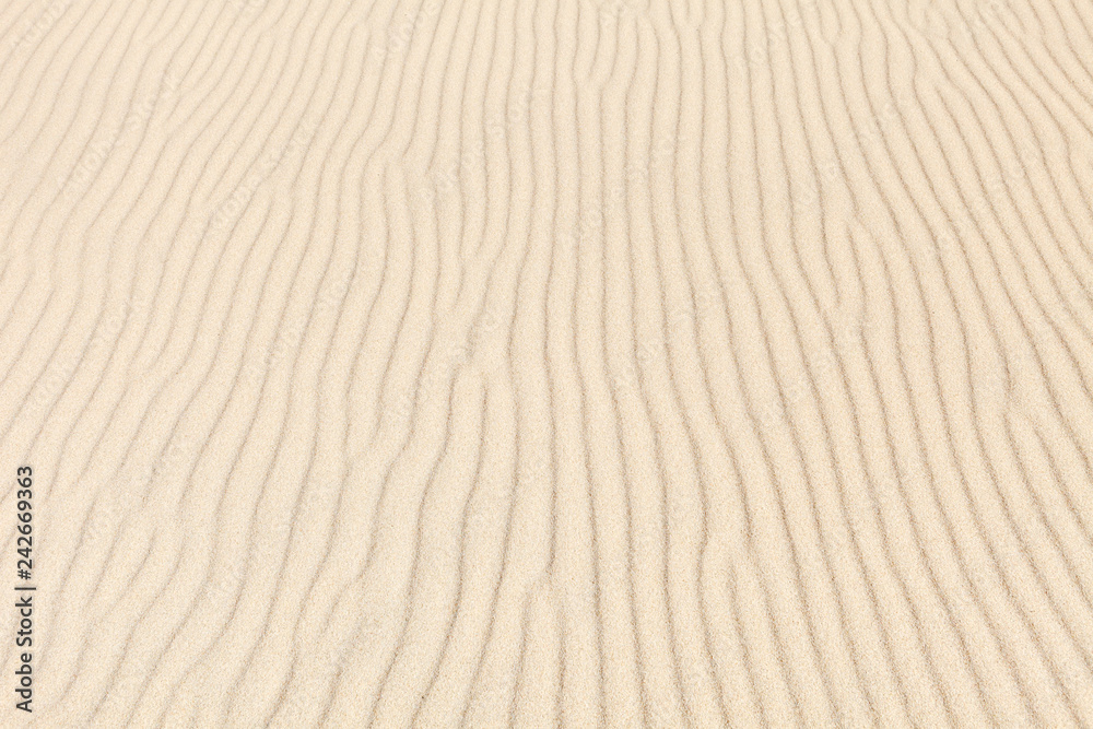 The wavy texture of the sand on the beach. The background image. Top view The wavy texture of the sand on the beach. The background image. Top view
