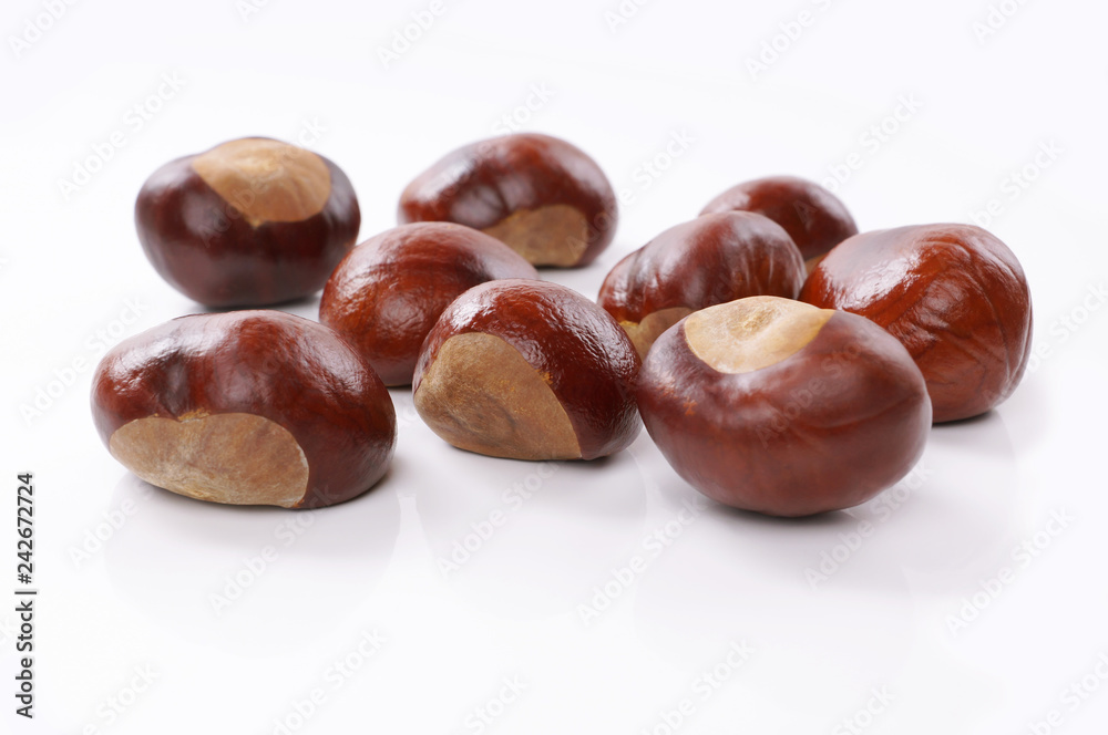 group of chestnuts or conkers on white background group of chestnuts or conkers on white background