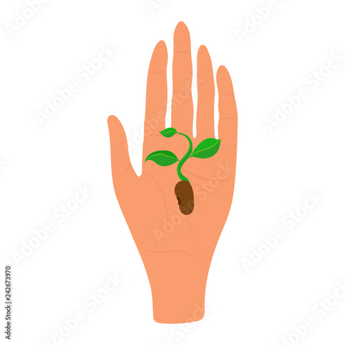 Hand drawn palm with sprout vector illustration. Ecology and spring time symbol