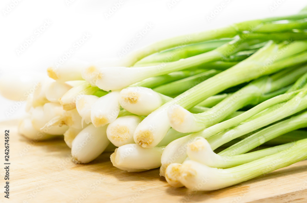 Scallion green onion spring onion salad onion bundle whole root isolated on white background. Scallion green onion spring onion salad onion bundle whole root isolated on white background.