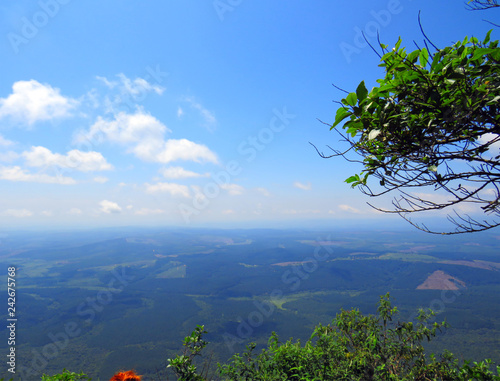 landscape with trees and blue sky