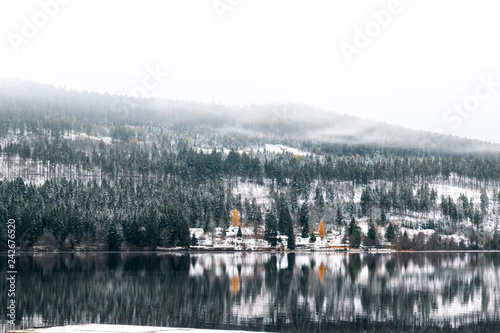 Lagos Titisee y Schluchsee en la Selva Negra, Alemania. Paisaje invernal con perfectos reflejos en el lago y montñas cubiertas de nieve y niebla