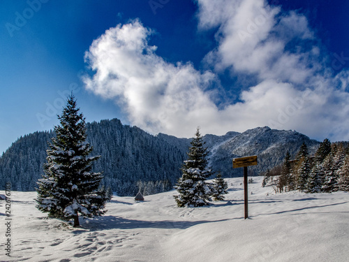 Landscape of beautiful winter. © Arkadiusz Fajer