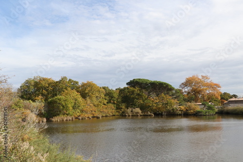 couleur d automne sur le domaine de certes graveyron   bassin d arcachon