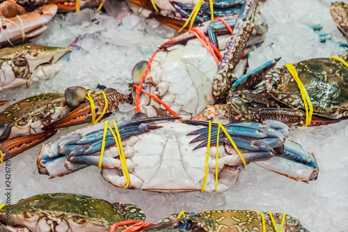 Sea crab  big size and are sold in supermarkets