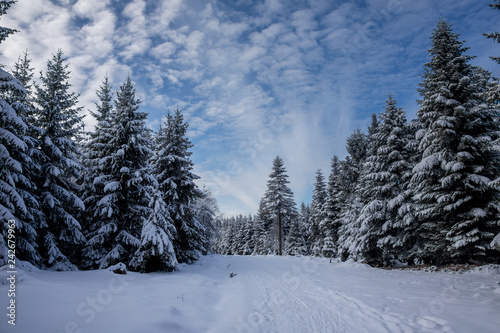 Winterlandschaft © EinBlick
