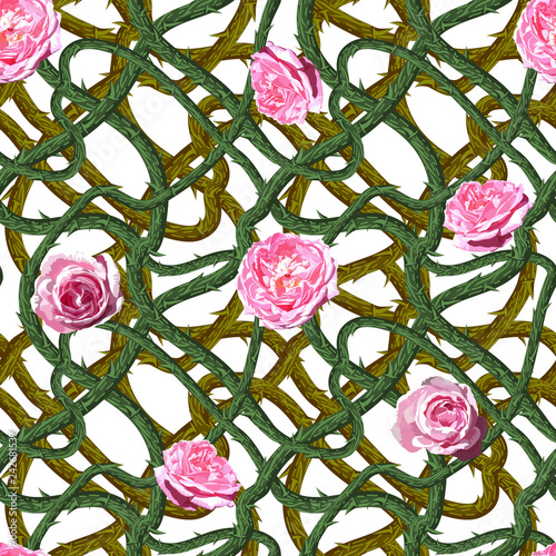 Spikes roses. Seamless pattern. Texture of prickly bush. Vector illustration.