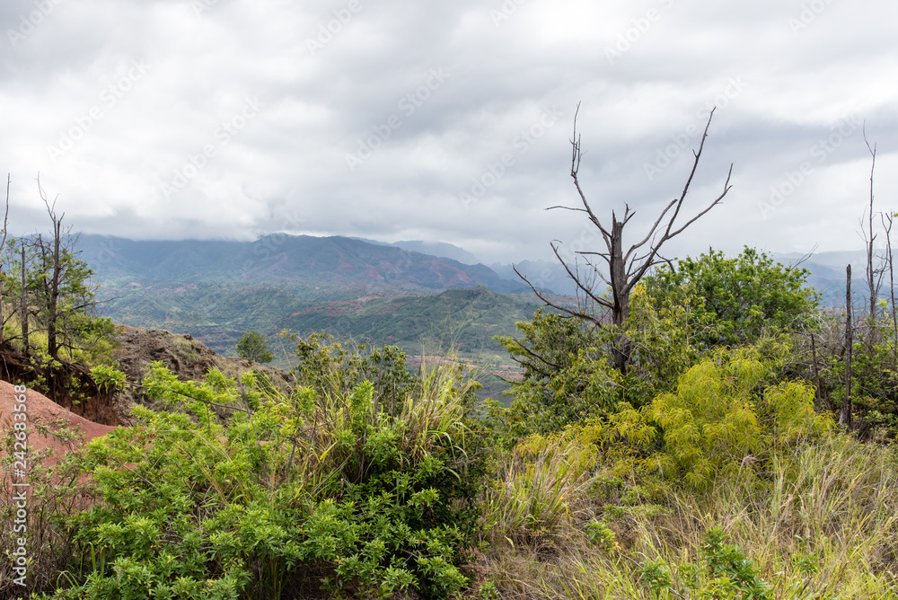 Obraz premium Kauai, Hawaii