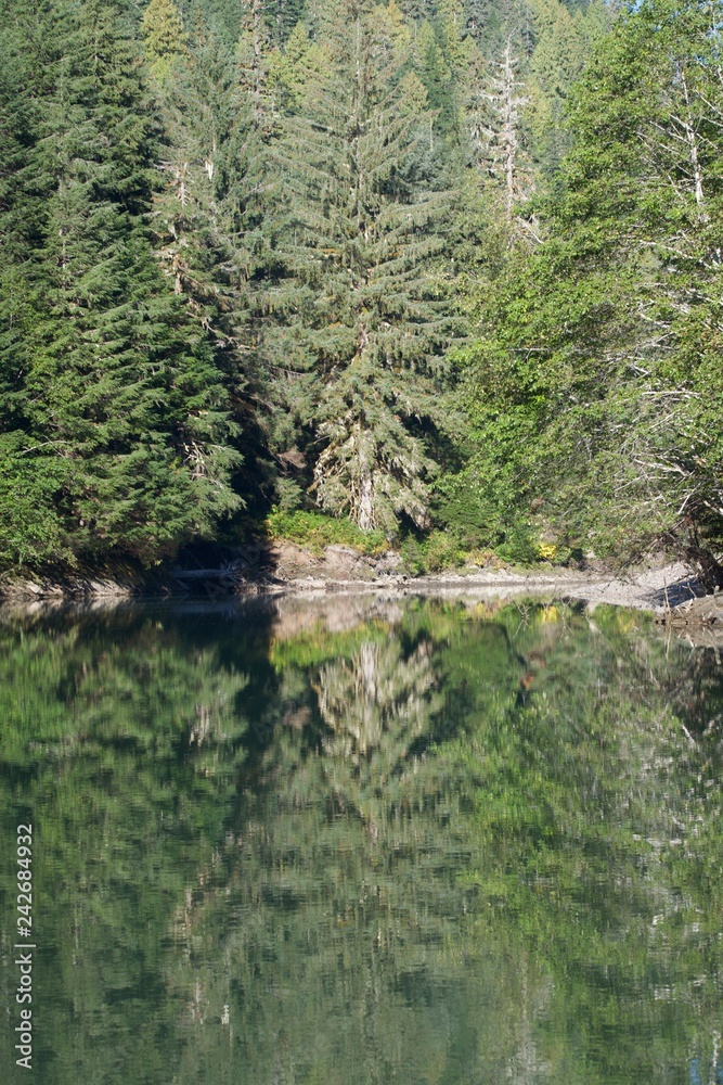 river reflection river reflection