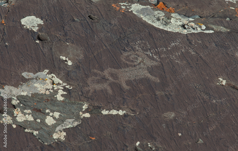 Obraz premium Ancient rock carvings